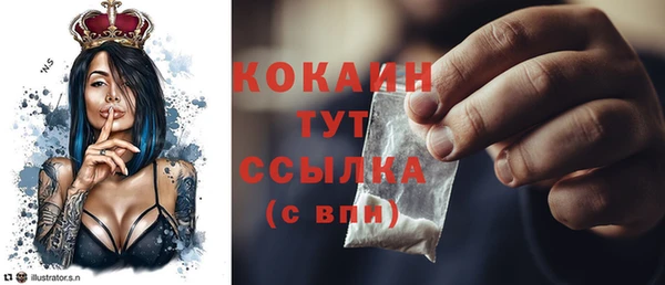 шишки Балабаново