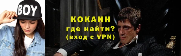 шишки Балабаново