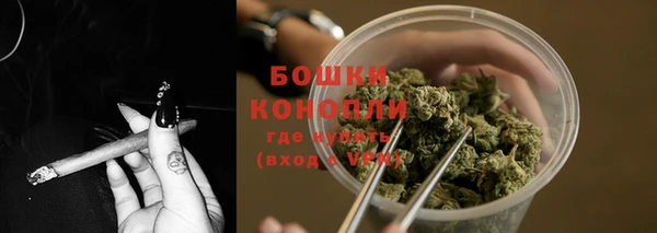 шишки Балабаново