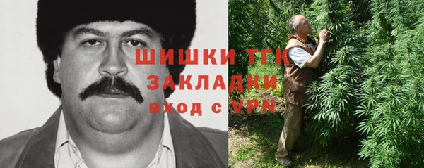 шишки Балабаново