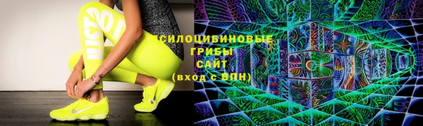 шишки Балабаново