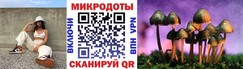 закладка  Сковородино  Галлюциногенные грибы Psilocybine cubensis 